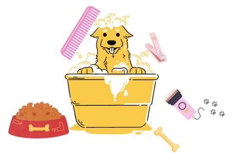 Vectors of grooming puppies and tools